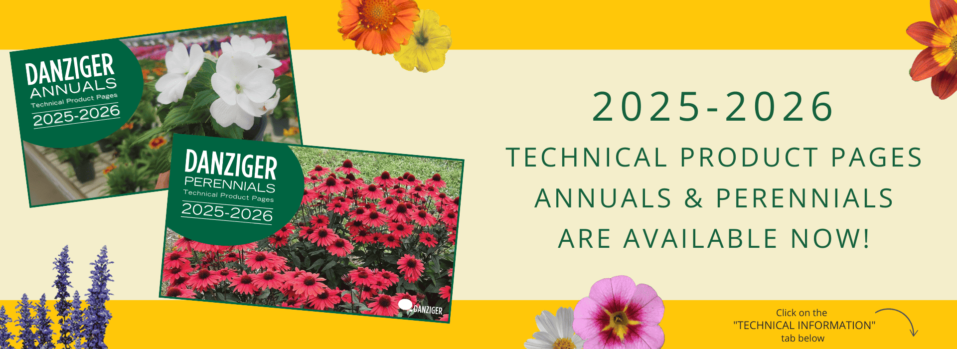 Digital Catalog Background