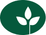 Annuals & Perennials Update