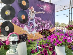 SPLASH DANCE™Bolero Blue, Magenta Mambo and Purple Polka