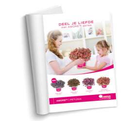 AMORE® Series