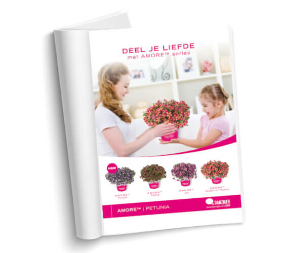 AMORE® Series