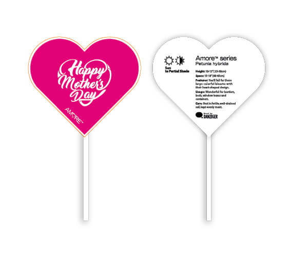 AMORE® Series