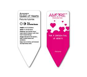 AMORE® Series