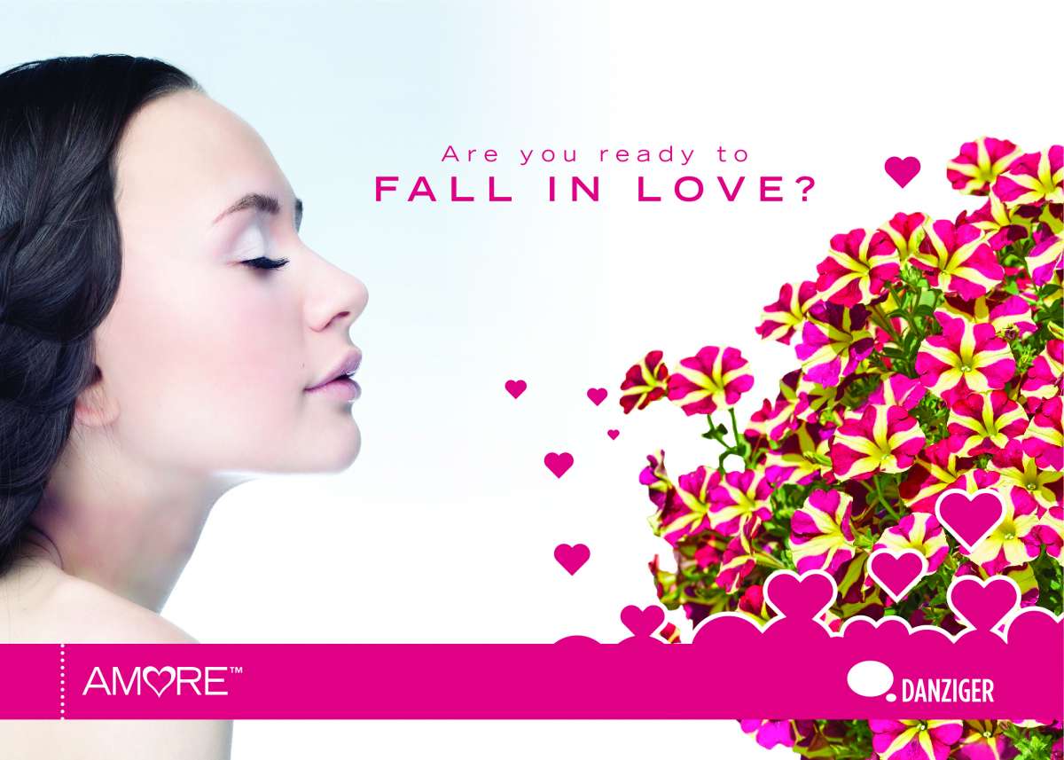 AMORE® Series