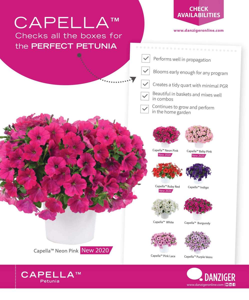 CAPELLA™ Series