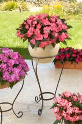 HARMONY® Series