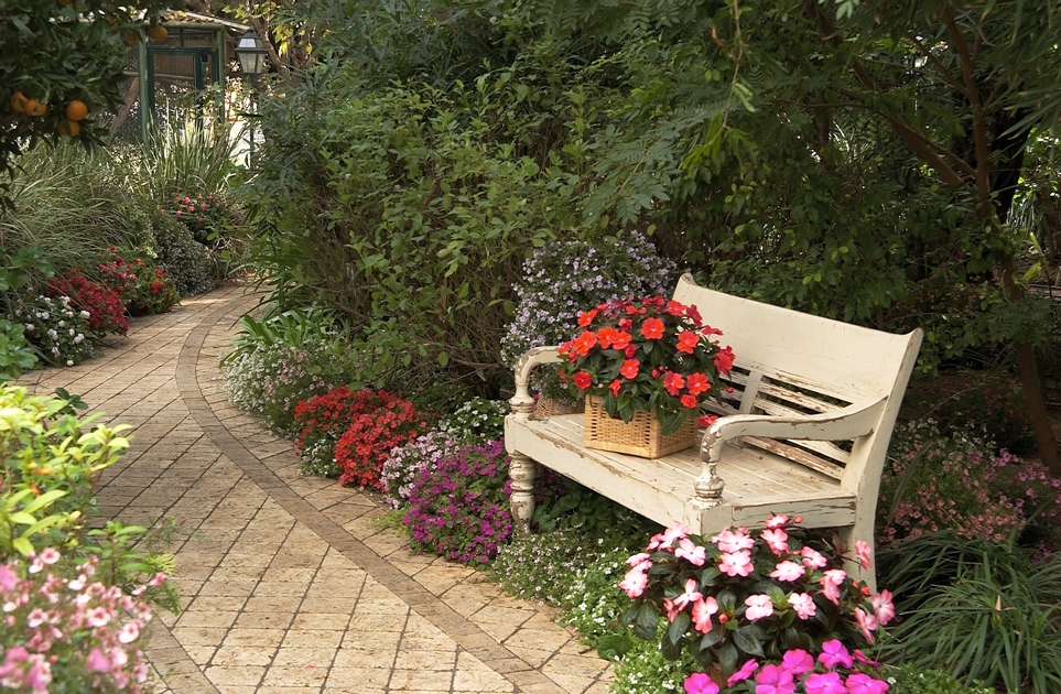 HARMONY® Series