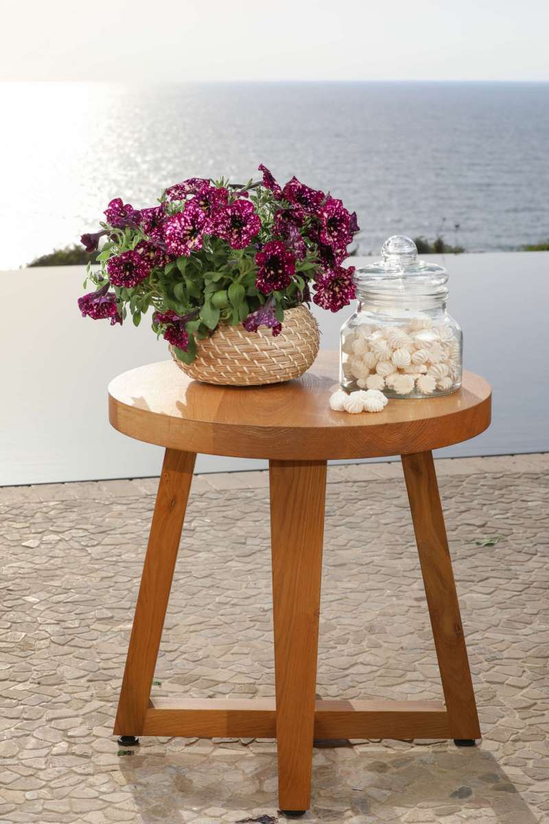 SPLASH DANCE® Magenta Mambo
