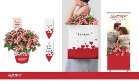 AMORE® Series