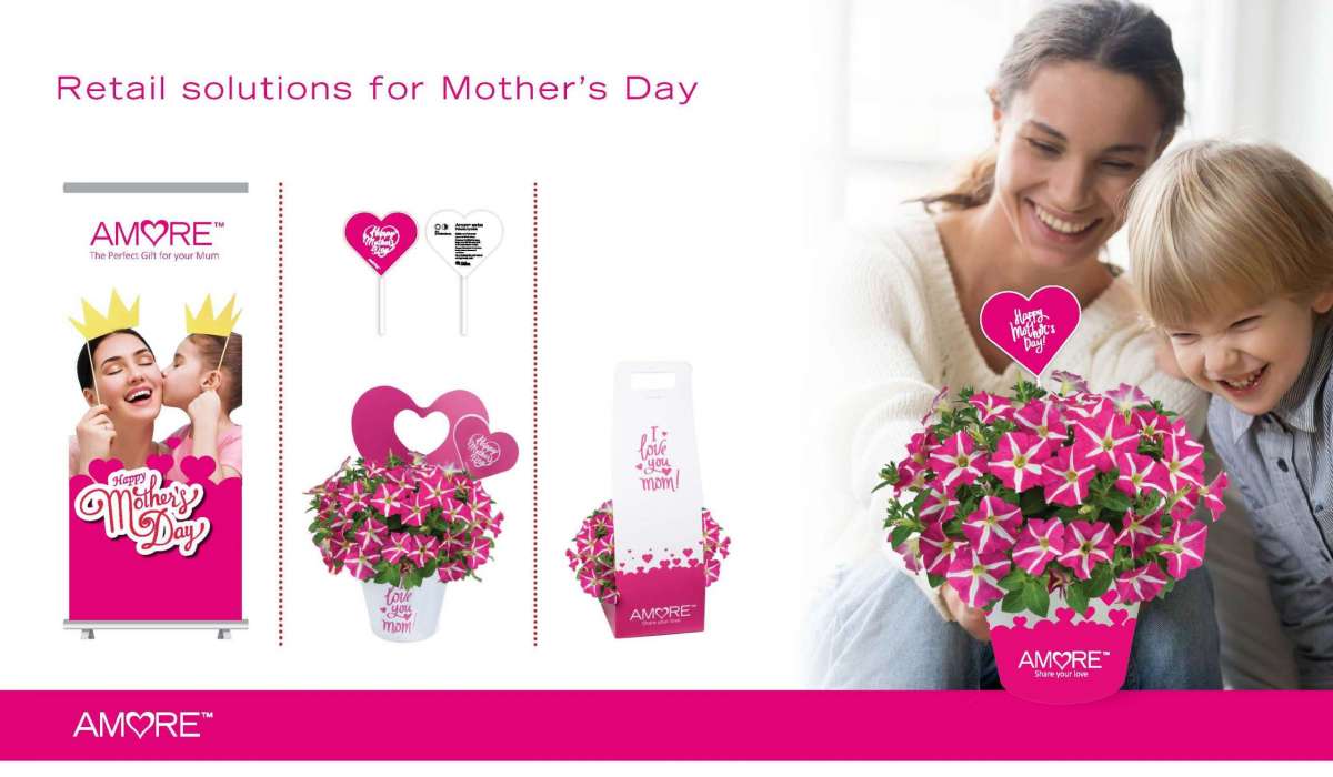 AMORE® Series