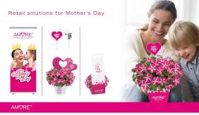 AMORE® Series