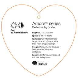 AMORE® Series