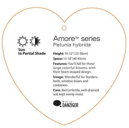 AMORE® Series