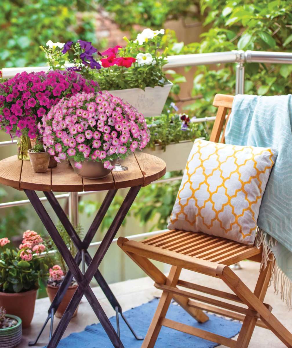 LITTLETUNIA® Series