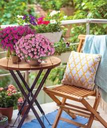 LITTLETUNIA® Series
