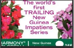HARMONY® COLORFALL Series