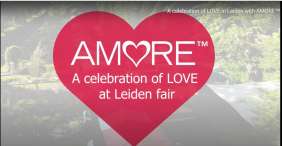 AMORE® Series