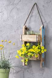 CAPELLA™ Hello Yellow