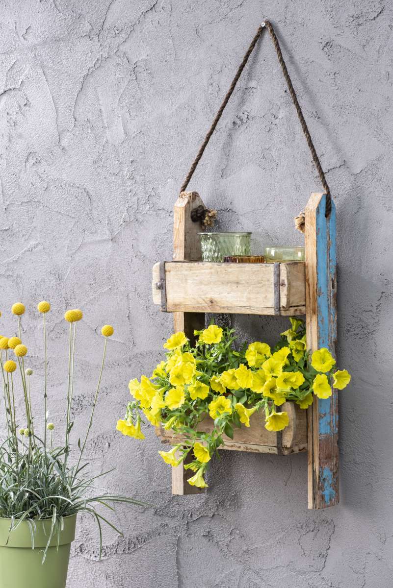 CAPELLA™ Hello Yellow