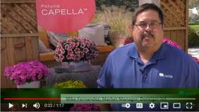 CAPELLA™ Series