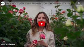 SENTI® ALQUIMIA COLOMBIA