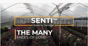 SENTI® JOYFUL COLOMBIA