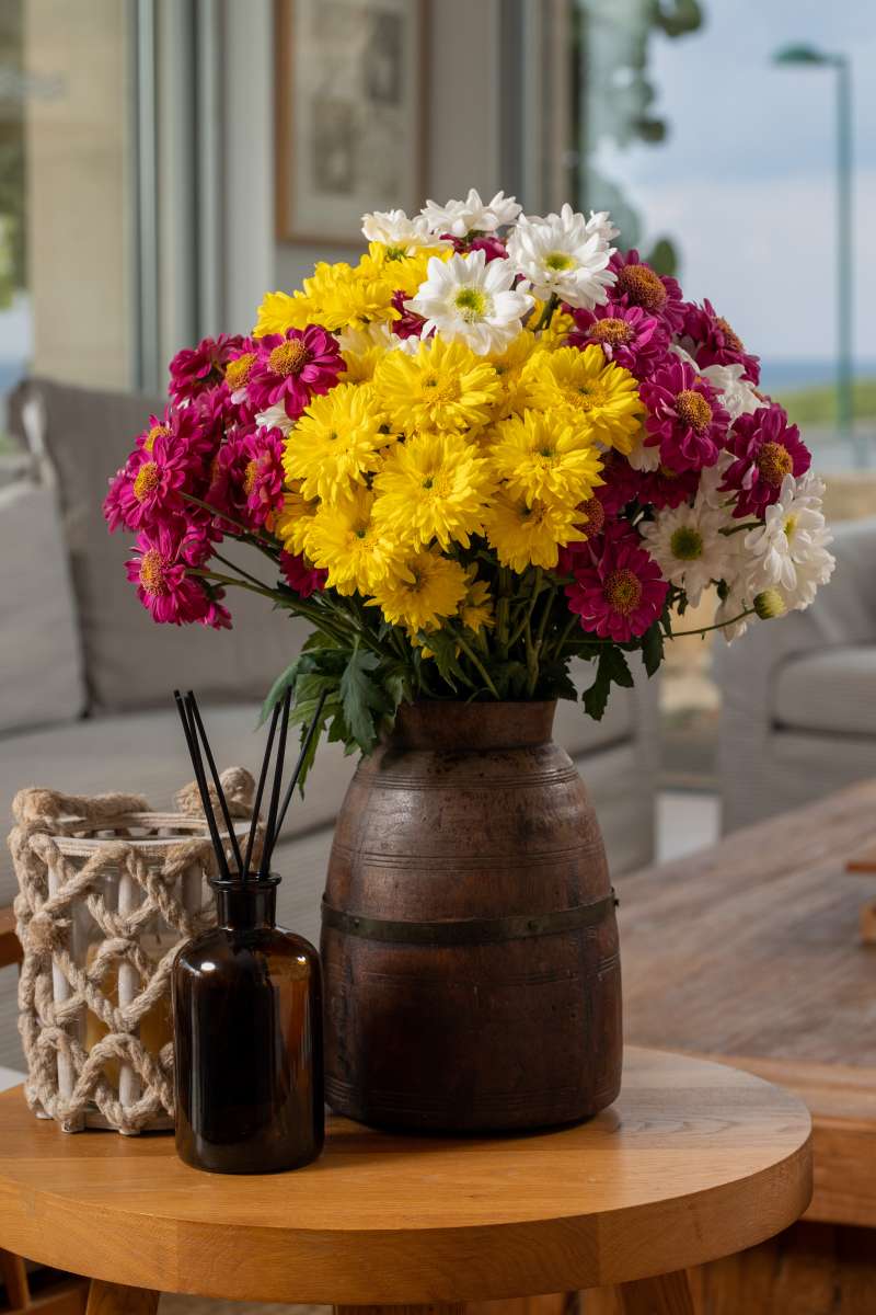 Empatia™ | Anemone Collection