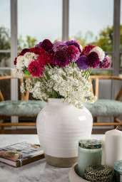 FOCAL SCOOP™ LILAC