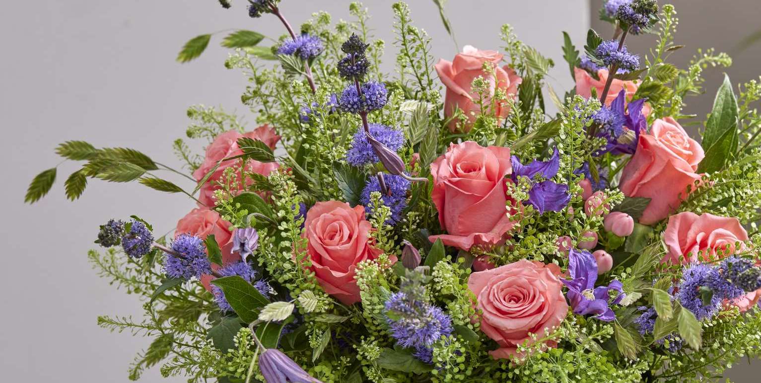 ROSES COLOMBIA COLLECTION