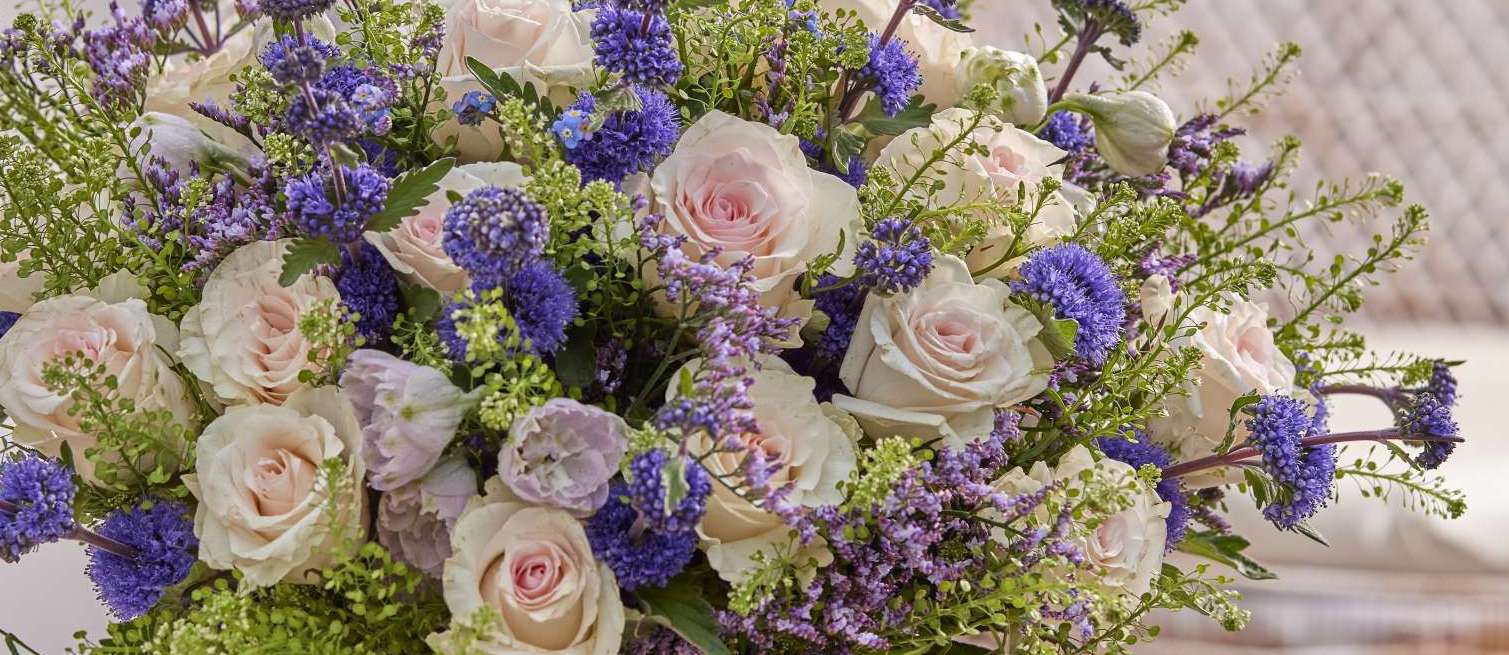 ROSES ECUADOR COLLECTION