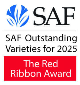 SAF2025-01
