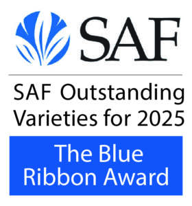 SAF2025-02