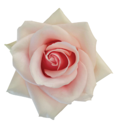 SENTI® ROMANTIC TOUCH COLOMBIA