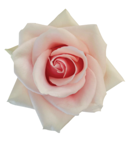 SENTI® ROMANTIC TOUCH COLOMBIA