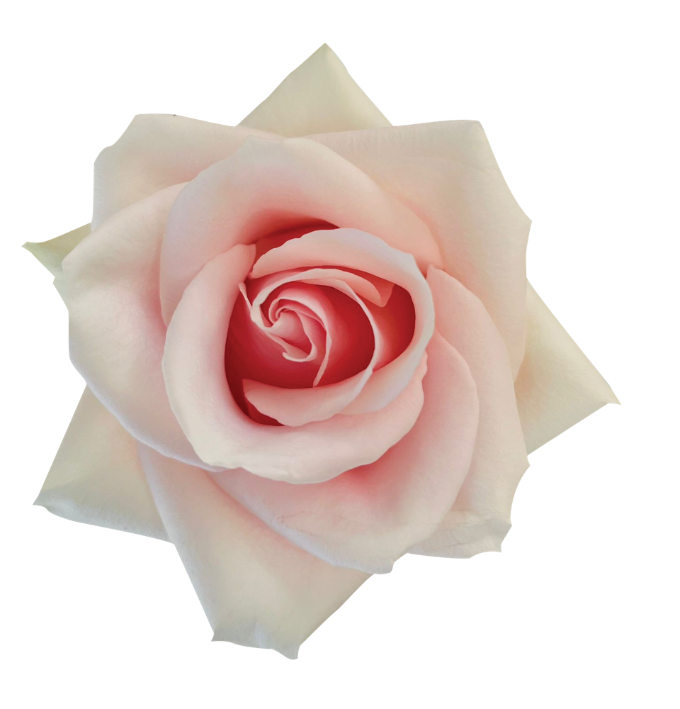 SENTI® ROMANTIC TOUCH COLOMBIA