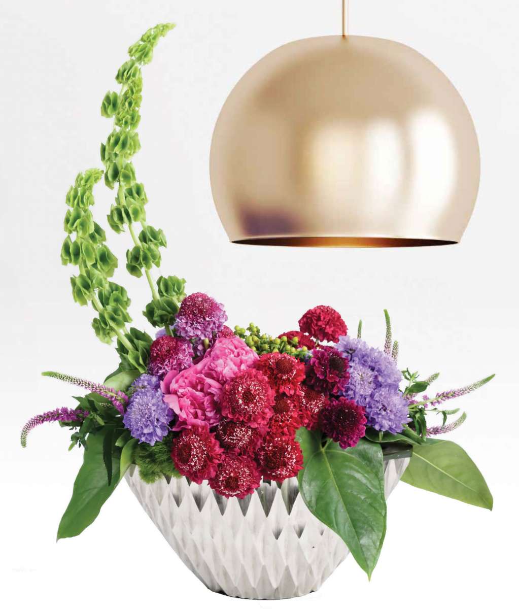 FOCAL SCOOP™ LILAC