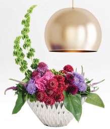 FOCAL SCOOP™ LILAC