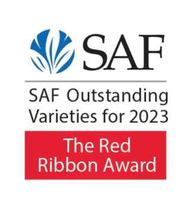 SAF 2023 Red RIbbon