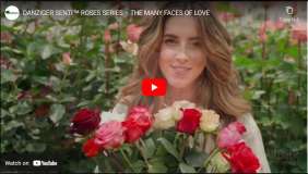 ROSES COLOMBIA COLLECTION