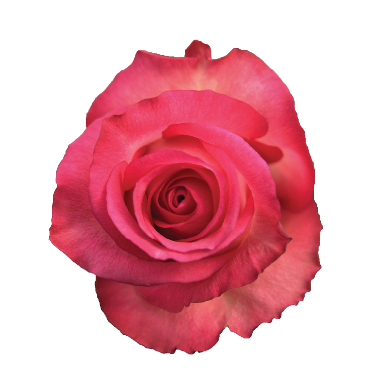 SENTI® JOYFUL KENYA