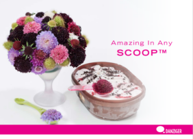 SCOOP® series