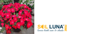 SOL LUNA PRIME™ Series