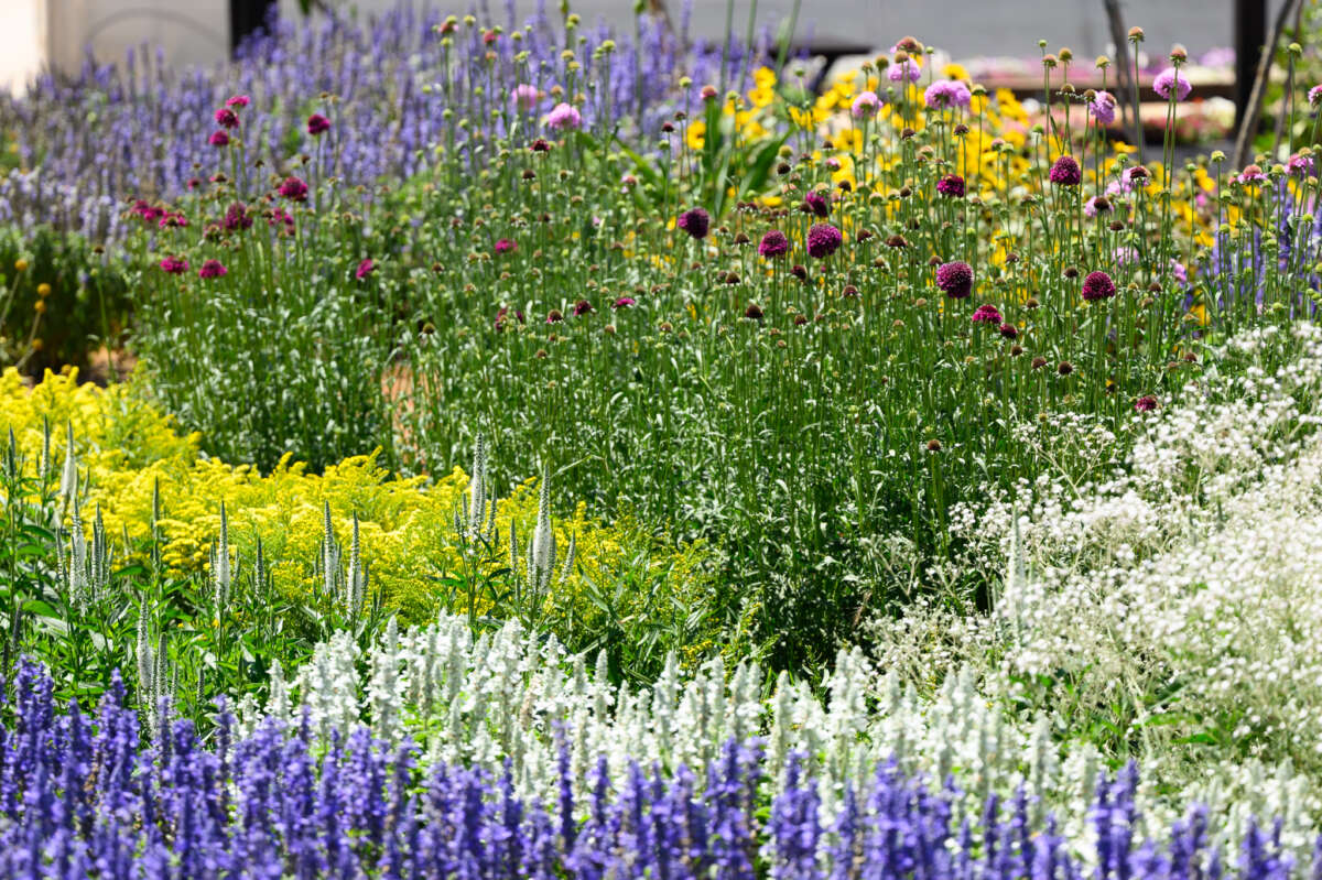 Garden to Vase