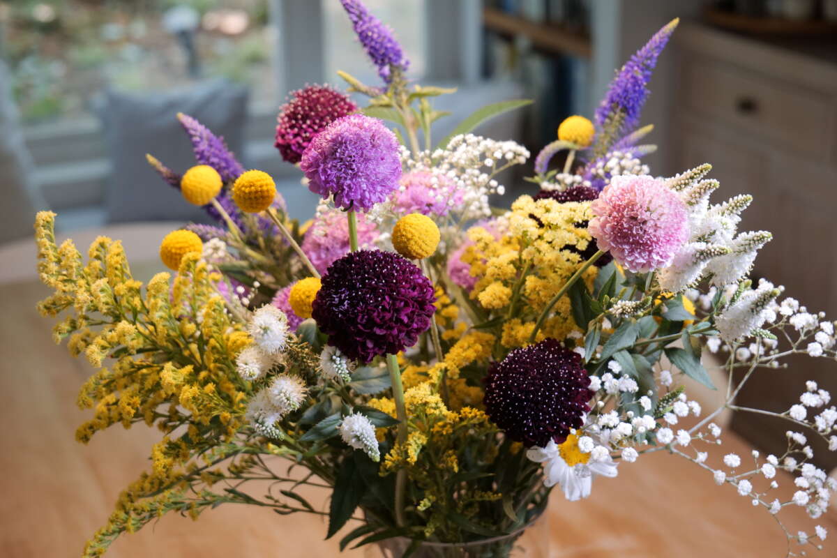 Garden to Vase