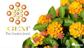 GEM™ COMPACT series