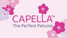 CAPELLA™ Series