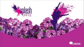 SPLASH DANCE® series