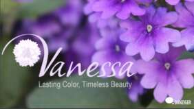 VANESSA™ COMPACT series