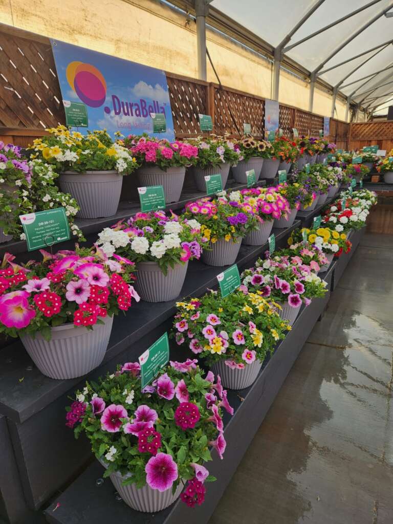 Check Out Captivating Combinations That Turn Heads at Retail