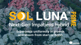 SOL LUNA PRIME™ Series